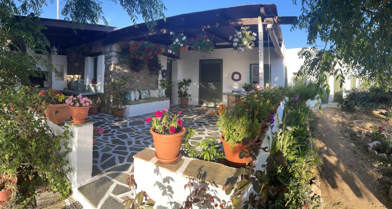 Ktima Dimitrios Villa Naxos City Exterior photo