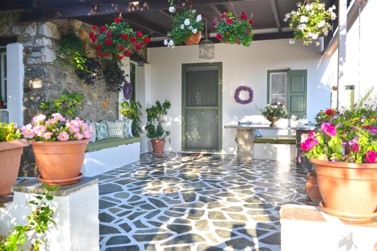 Ktima Dimitrios Villa Naxos City Exterior photo